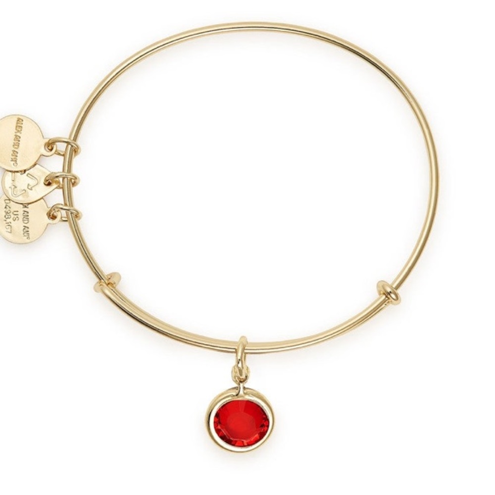 Alex and Ani birthstone January bangle